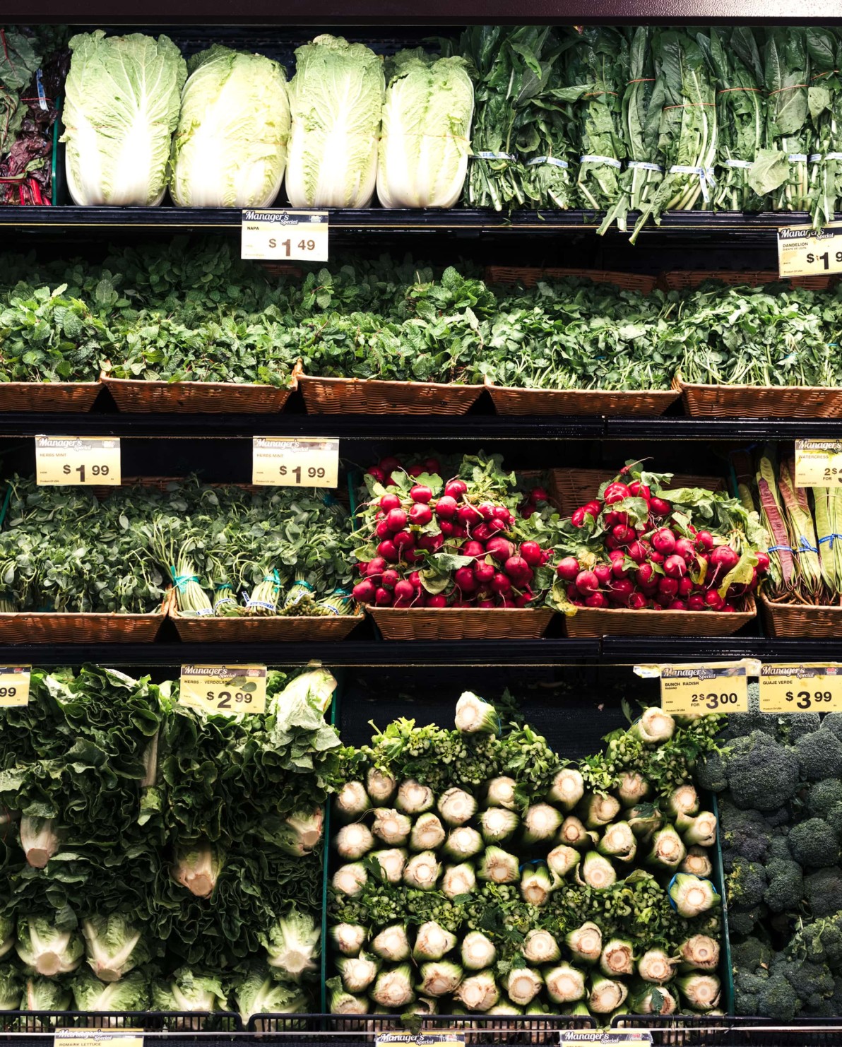 Apartments For Rent in Mott Haven Bronx Neighborhood Estela