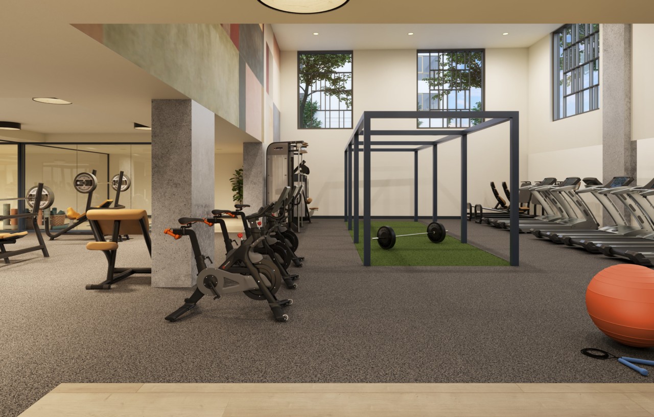 Apartment for Rent Bronx NY Mott Haven Photos Estela