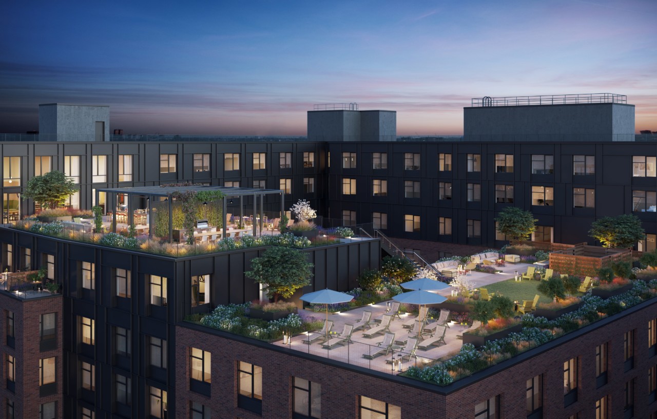 Apartment for Rent Bronx NY Mott Haven Photos Estela