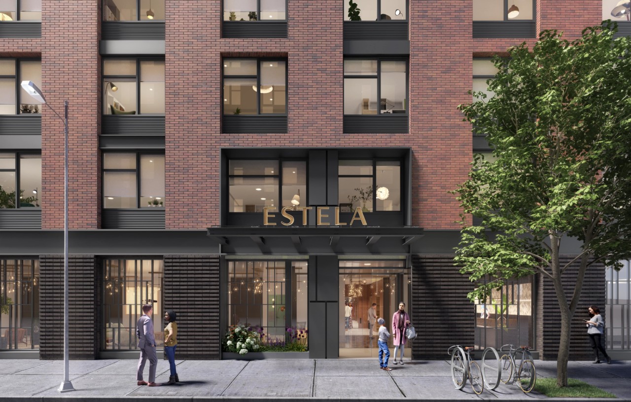 Apartment for Rent Bronx NY Mott Haven Photos Estela